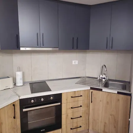 Kamela's Golden 公寓 地拉那